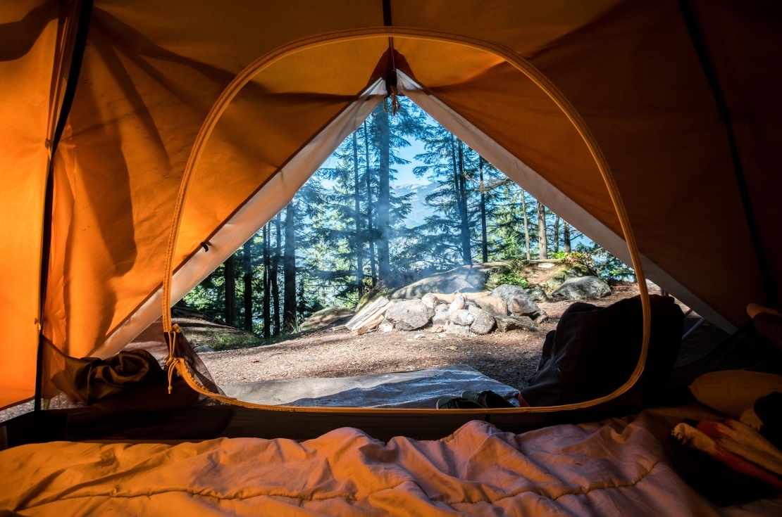 Campground tent open with view of pine trees.