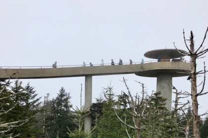 Man wearing a scarf and sweater laying on the grass covered in fall leaves.