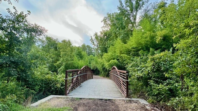 Financial Advisor holding a virtual whiteboard of charts and words about saving.