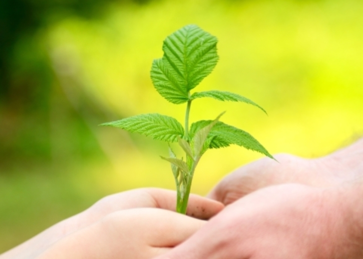 Retirement Savings, IRA, Annuities, full retirement age, IRA investment